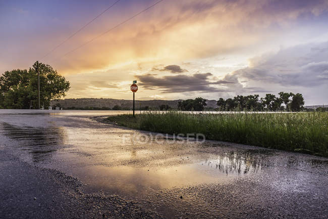 Sunset reflected on wet highway, Montana, US — Stock Photo