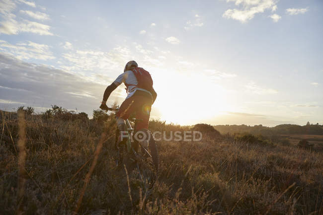 Mountain biker riding on moorland track in sunlight — Stock Photo