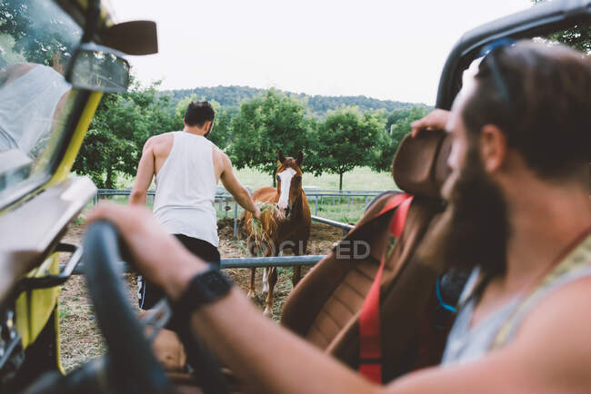 Jovem em viagem de carro alimentando cavalo à beira da estrada, Como, Lombardia, Itália — Fotografia de Stock