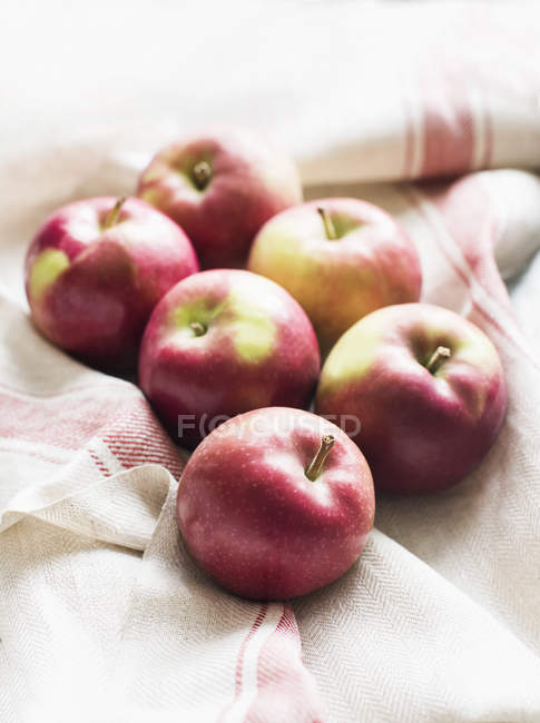 Seis manzanas rojas en tela de cocina - foto de stock