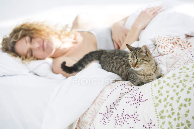 Mujer durmiendo en cama y gato mascota acostado al lado - foto de stock