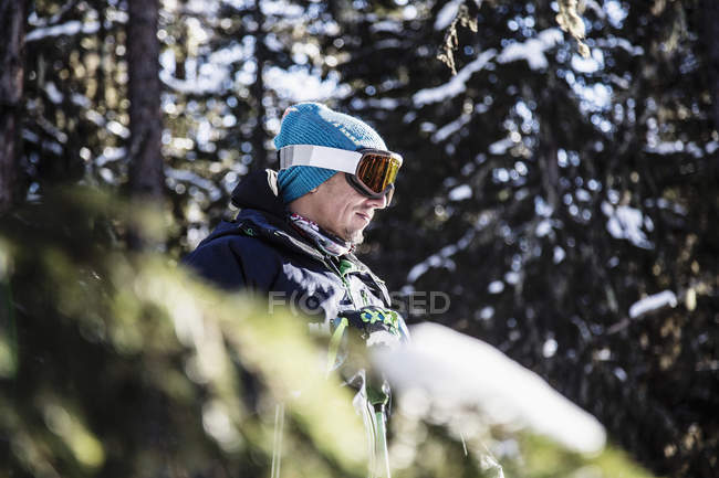 Портрет лыжника у деревьев, смотрящего на вид — стоковое фото