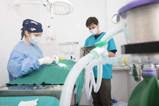 Veterinários realizando operação em cirurgia — Fotografia de Stock