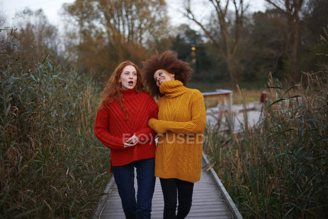 Dos mujeres jóvenes caminando de brazo en brazo a lo largo del camino rural - foto de stock