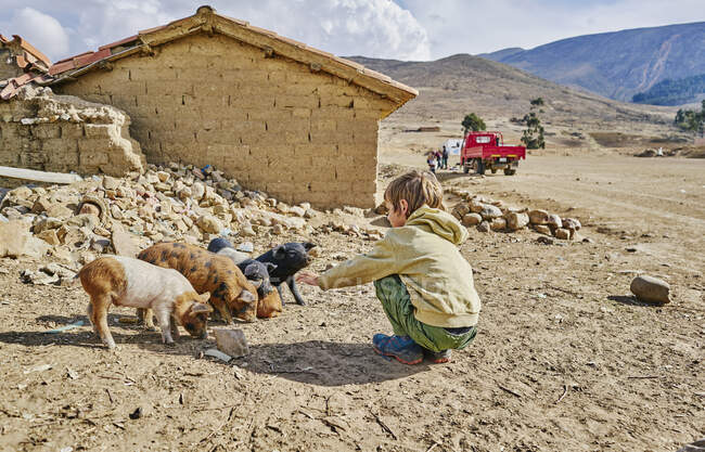 Boy petting piglets, Tarabuco, Chuquisaca, Bolivia, South America — Stock Photo