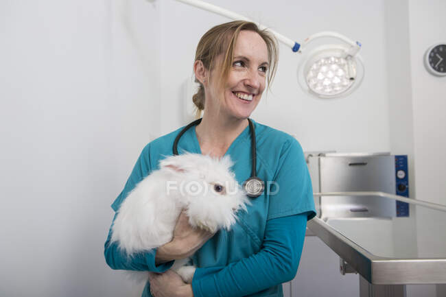 Veterinari che trasportano coniglio angora — Foto stock
