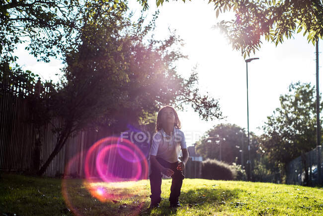 Boy looking up at tree in sunlight — Stock Photo