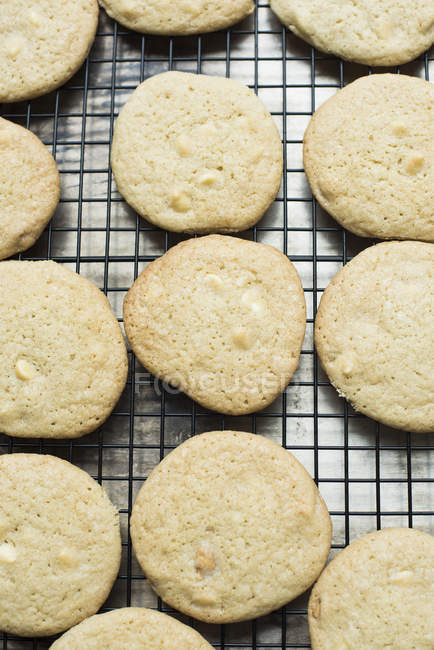 Top view of white chocolate chip cookies cooling on rack — Stock Photo