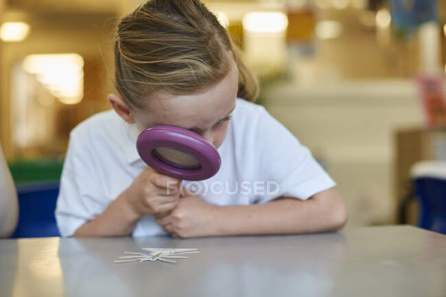 Schoolgirl looking through magnifying glass in classroom lesson at primary school — Stock Photo