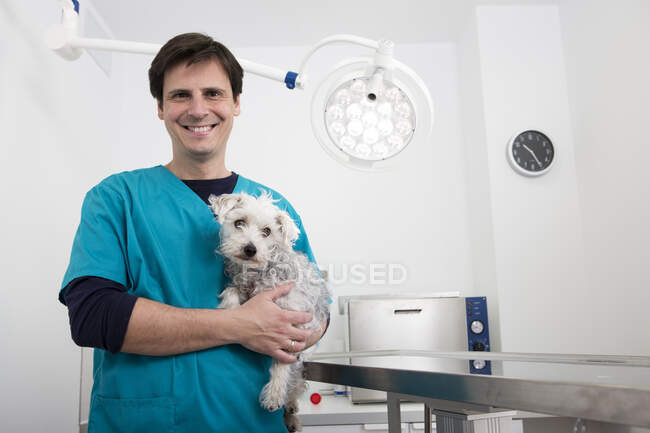 Vet carrying terrier poodle mixed breed dog — Stock Photo