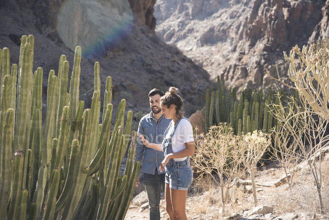 Jovem casal caminhando olhando para cactos no vale, Las Palmas, Ilhas Canárias, Espanha — Fotografia de Stock