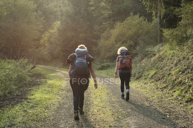 Excursionistas, Meerfeld, Rheinland-Pfalz, Alemania - foto de stock