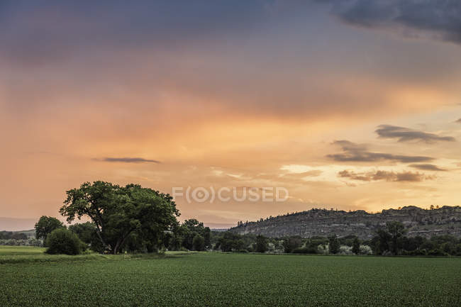 Sunset over rural landscape, Montana, US — Stock Photo