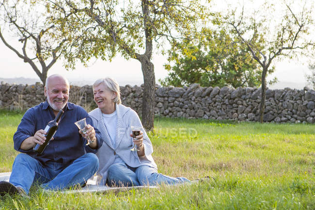 Casal sênior ao ar livre, sentado em cobertor, desfrutando de copo de vinho — Fotografia de Stock