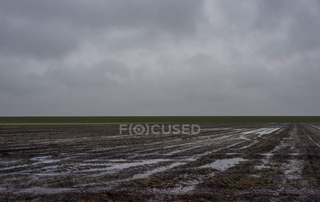 Campos empapados de lluvia, Valom, Groningen, Países Bajos - foto de stock