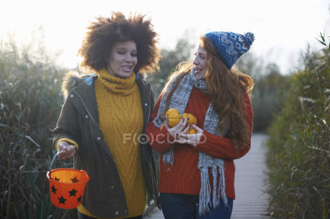 Amigos carregando abóboras em miniatura e balde — Fotografia de Stock