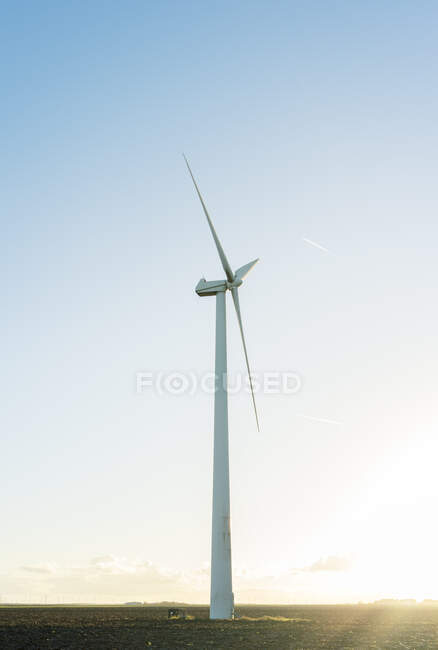 Turbina eolica in campo, Zeewolde, Flevoland, Paesi Bassi, Europa — Foto stock