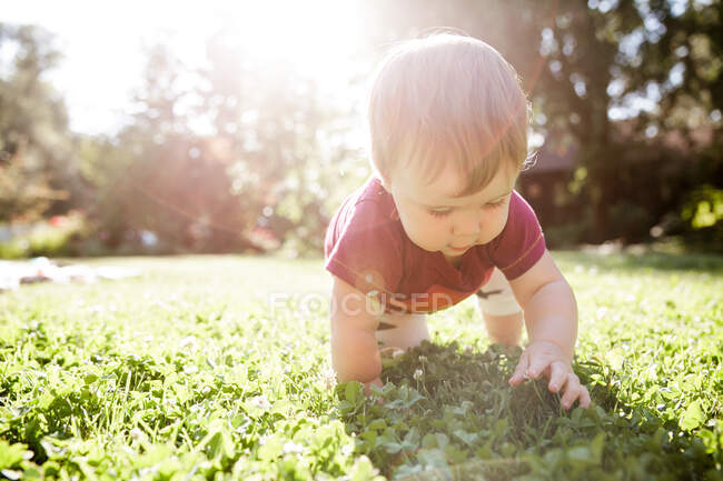 Bebé niño arrastrándose en la hierba - foto de stock