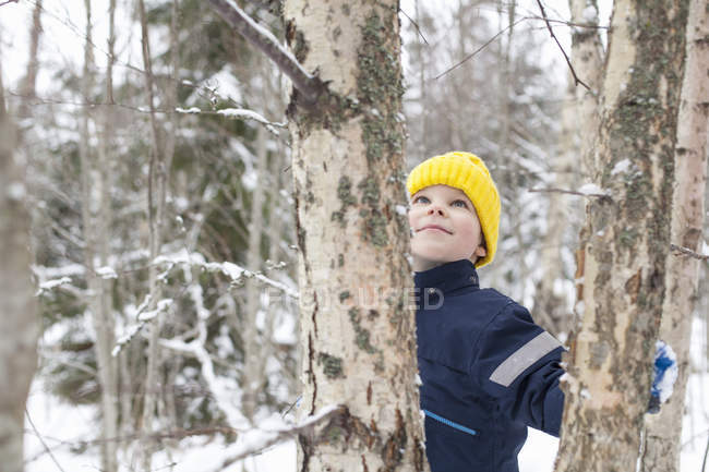 Menino de chapéu de malha amarelo olhando para a árvore na floresta coberta de neve — Fotografia de Stock