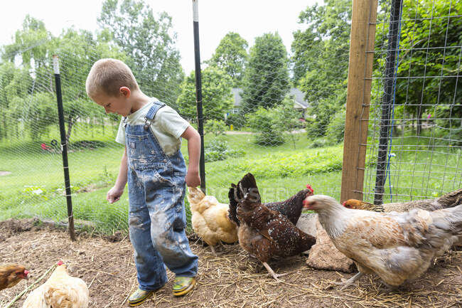Niño en gallinero con gallinas - foto de stock