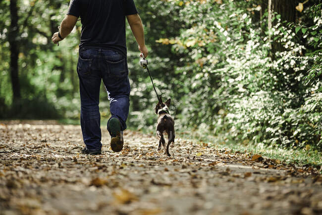 Mann Gassi gehender Hund in ländlicher Umgebung, Tiefschnitt, Rückansicht — Stockfoto