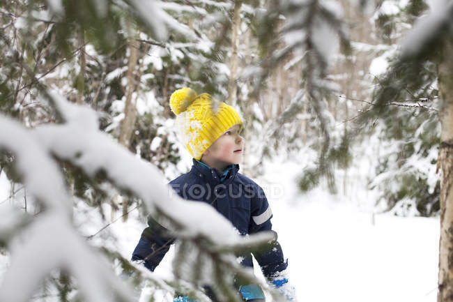 Boy in yellow knit hat in snow covered forest — Stock Photo