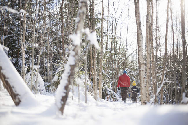 Вид ззаду чоловіка і сина в сніжному покритому лісі — стокове фото