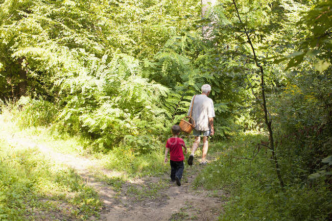 Дедушка и внук охотились за грибами в лесу, Повидза, Банска-Быстрица, Словацкая республика — стоковое фото