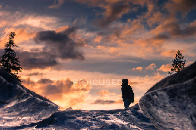 Молодая женщина на открытом воздухе на закате, глядя на сельскую местность, вид сзади, остров Ванкувер, Канада — стоковое фото