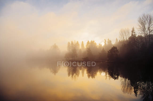 Reflexão de árvores na água ao pôr do sol, Bainbridge, Washington, Estados Unidos da América — Fotografia de Stock