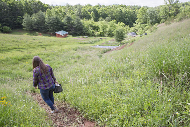 Rückansicht einer Frau, die durch ländliches Feld geht — Stockfoto