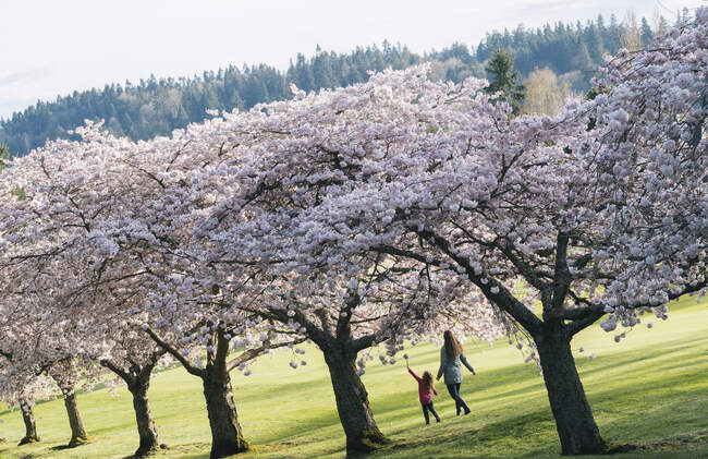 Chica y madre paseando en el parque por flores de cerezo - foto de stock