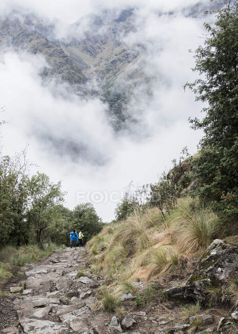 Dos personas haciendo senderismo por el Camino Inca, Huanuco, Perú, América del Sur - foto de stock