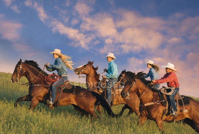 Група людей, що катаються на конях у полі — стокове фото