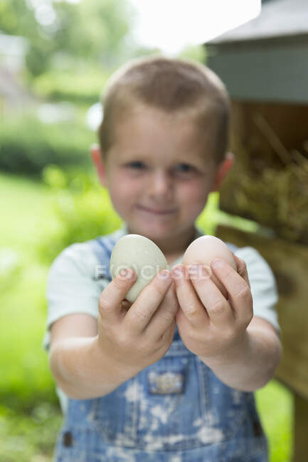 Niño sosteniendo gallinas huevos mirando a la cámara sonriendo - foto de stock