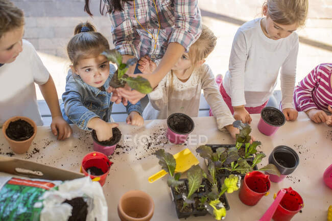 Mulher adulta média ajudando crianças pequenas com atividade de jardinagem, vista elevada — Fotografia de Stock