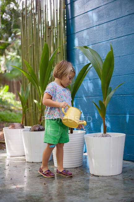 Дівчина поливає горщики рослинами з лійкою — стокове фото
