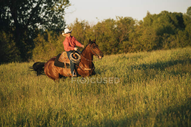 Garçon équitation cheval dans le champ — Photo de stock
