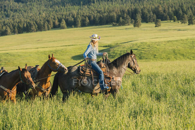 Adolescente menina levando quatro cavalos no prado — Fotografia de Stock