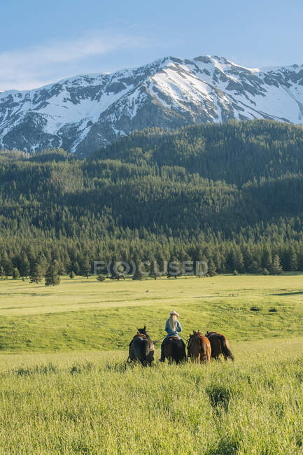 Девочка-подросток, ведущая четырех лошадей на снежной вершине горы, 