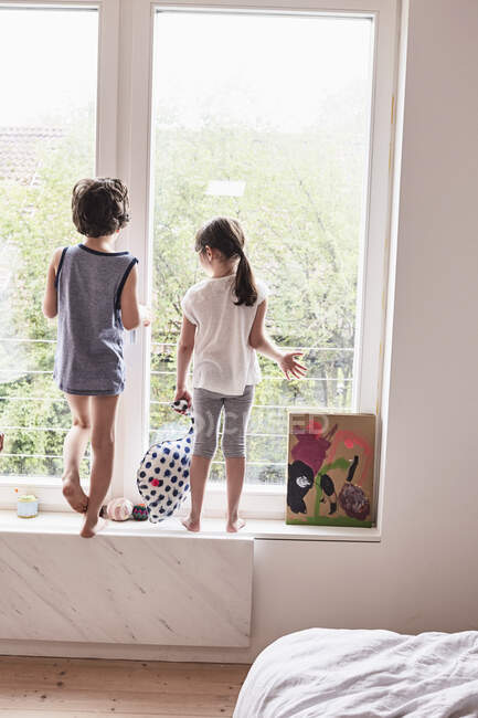 Брат и сестра смотрят в окно, вид сзади — стоковое фото
