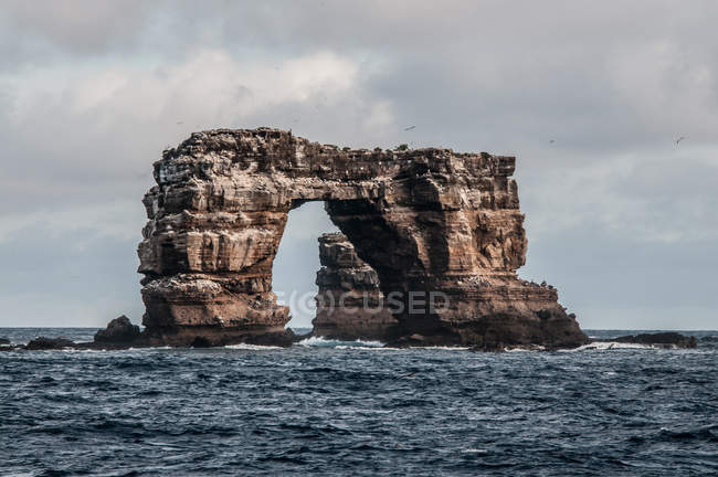 Darwin 's arch, Darwin Island, Seymour, Galapagos, Ecuador, South America — стоковое фото