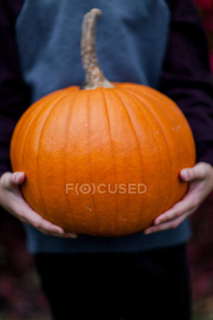 Cropped view of boy holding pumpkin — Stock Photo