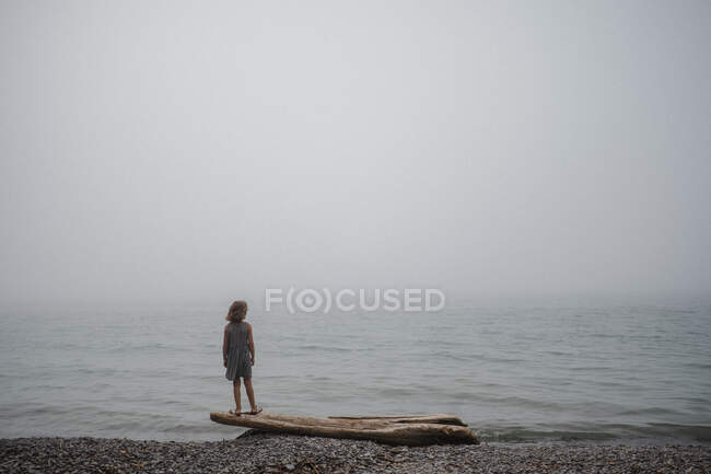 Fille debout sur le bois flotté regardant vers la mer — Photo de stock