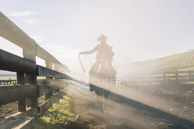 Ковбой з лассо на коні, Ентерпрайз, Орегон, США, Північна Америка — стокове фото