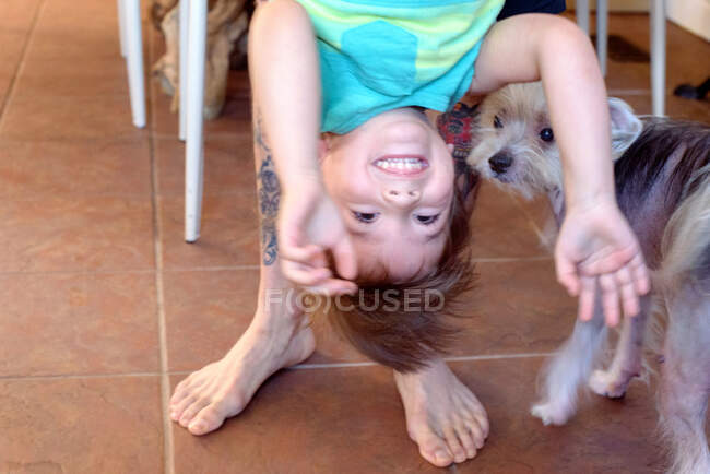 Мальчика держат вверх ногами, собака смотрит — стоковое фото