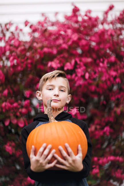 Portrait of boy holding pumpkin — Stock Photo