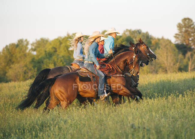 Grupo de pessoas montando cavalos no campo — Fotografia de Stock