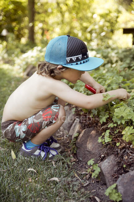 Мальчик садоводства в клумбе с секаторами — стоковое фото