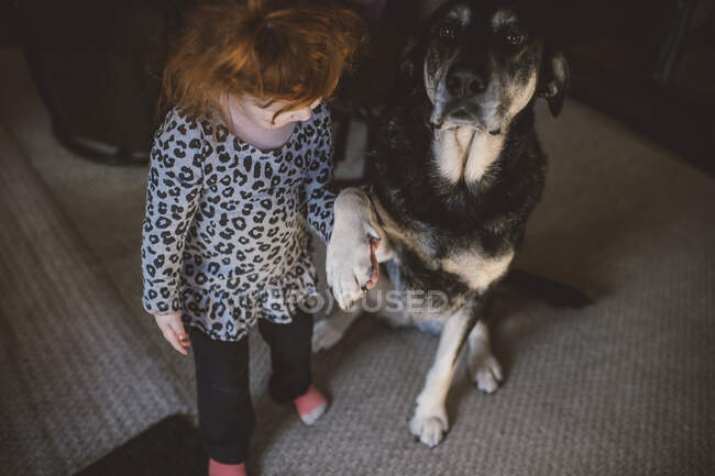 Young girl standing beside pet dog, holding dog's paw — Stock Photo